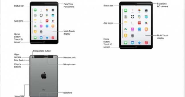REVEALED: Apple's new iPad Air and iPad Mini show up in iTunes