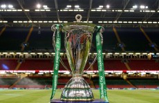 heineken cup rugby