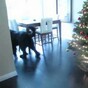This is the cutest game of hide and seek that ever happened