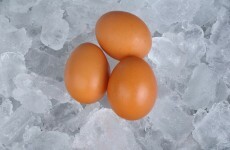 Poll: Do you agree with companies paying to freeze female workers' eggs?
