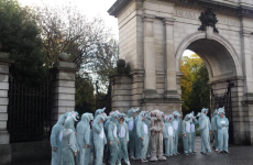 There's a 'herd of elephants' from Dublin Zoo wandering around the city centre