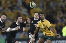 All Blacks expect 'under siege' Australia to come out swinging
