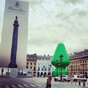 Hey Paris, that is not a Christmas tree, that is a giant green butt plug