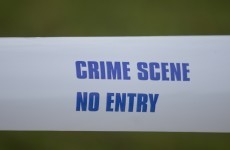 Man (20s) dies after knife attack in Santry