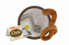 Ebola-shaped plush toys exist, and they have completely sold out