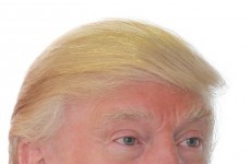 Trump: 'Sean O'Rourke is an a*****e. He took off my hair. This is my hair'