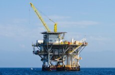 How will 'unprecedented' levels of oil and gas exploration affect wildlife?