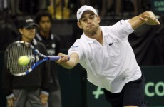 Ferrer sees off Roddick in Davis Cup quarter-final