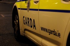 Seven-hour standoff between man and armed gardaí ends without injury