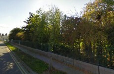 Woman threatened and assaulted by man in park