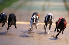 One of Dublin's two greyhound stadiums is to be closed and sold