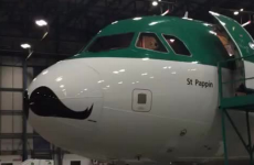 Aer Lingus introducing moustachioed plane to its fleet for Movember