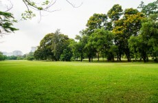 Fingal County Council considering installing lights in park where woman was assaulted
