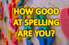 How Well Can You Spell Commonly Misspelled Words?