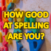 How Well Can You Spell Commonly Misspelled Words?