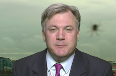This politician got well and truly photobombed by a spider on live TV