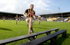 Hurler of the Year Richie Hogan's best bits of the season