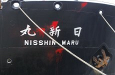 Whaling forum seeks to tackle alleged 'buying' of votes