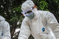 Two-year-old girl dies of Ebola in Mali's first case