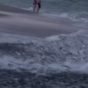 Amazing video shows feeding frenzy during massive fish migration in Florida