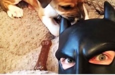 BatDad is back with a new compilation, and he's better than ever