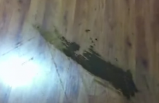 A robotic hoover smeared dog shite all over this man's house