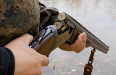Gun seized 'after being pulled on Irish Water worker'