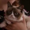Yes, the Grumpy Cat movie is actually happening and here's the bizarre trailer