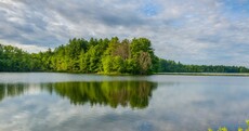 A virus found in lakes could be literally changing the way people think