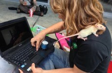Here's how homeless people in New York use technology