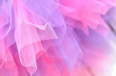 Police search for males in pink tutus who beat men in homophobic attack
