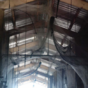 107 million spiders were found to be living in a disused US water treatment plant