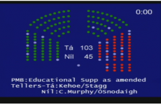 Government wins Dáil vote on SNAs