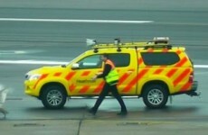 Hyper swan creates complete havoc on Heathrow runway