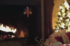 This six-second Vine is the ultimate in 'NOOOOOOOO'