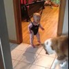 Adorable bouncing baby laughs as dog tries to catch her shadow