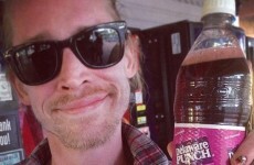 Macaulay Culkin reacted pretty well to the news of his own death