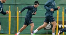 Call it a comeback! Glenn Whelan arrives in Ireland camp in late bid to prove his fitness