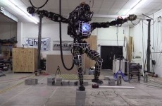 This Google-owned robot reenacts crane kick scene from Karate Kid