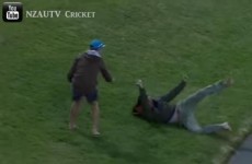 Cricket fan wins €3,000 for making this sliding one-handed catch in his bare feet