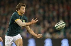 Springbok half-backs pay the price for Irish shellacking