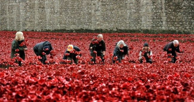 In photos: The impressive poppy display at Tower of London is being dismantled