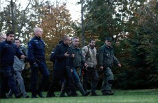 Search steps up for tiger on the loose near Disneyland Paris