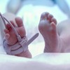 Seven in ten parents of premature babies want more psychological support