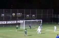 This netbusting backheel needs to be added to the Puskas Award ballot
