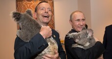 World leaders cuddle koalas, try to solve global warming