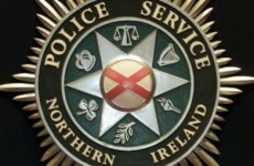 Carjacker punches woman (59) before smashing into police car during chase