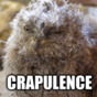 11 old-timey words for 'hangover' we need to bring back