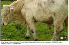 Someone at the Daily Mail needs to go back over their Irish geography