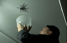 8 real problems every man can identify with